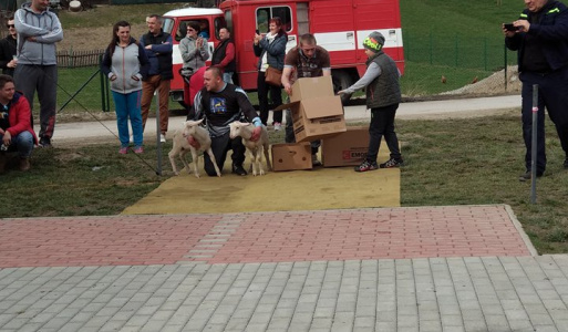 O veľkonočného baránka 2018 