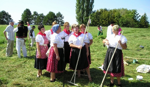 Nitra 2010 