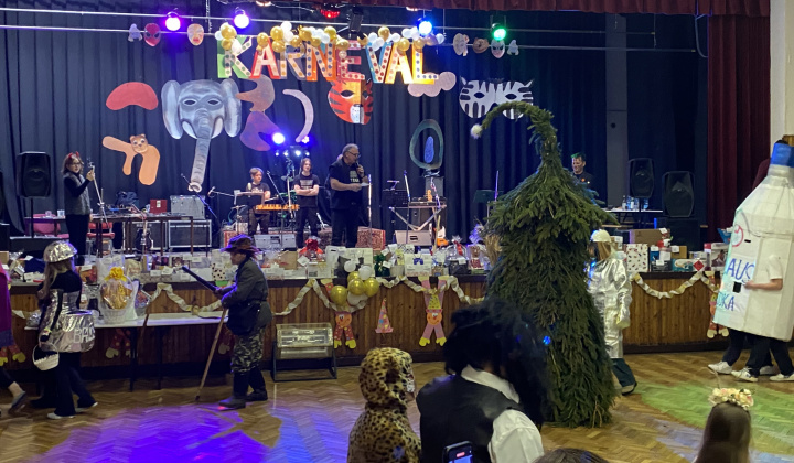 17. fotografia fotogalérie Maškarný ples