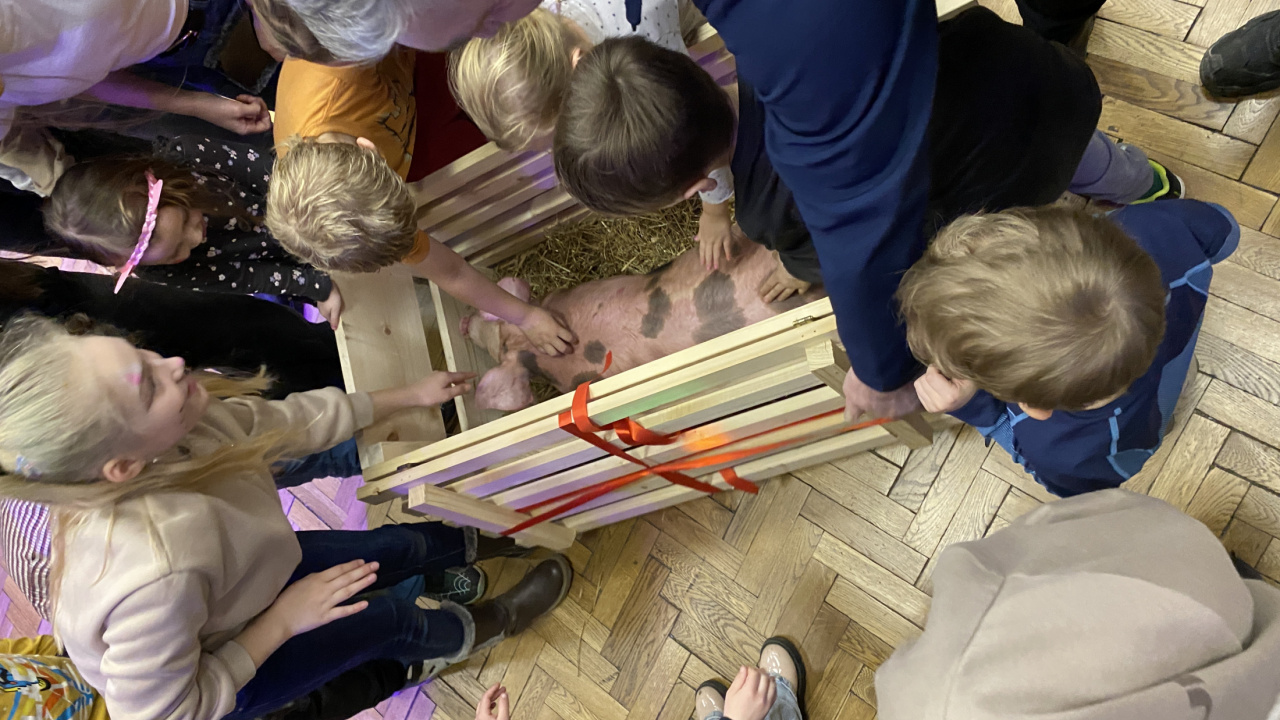 Fotografia fotogalérie Fašiangová zabíjačka