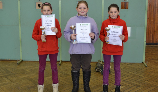 Strelby 2013 