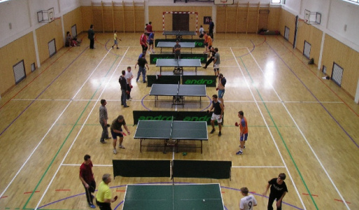Stolný tenis 