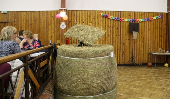 10. fotografia fotogalérie Maškarný ples