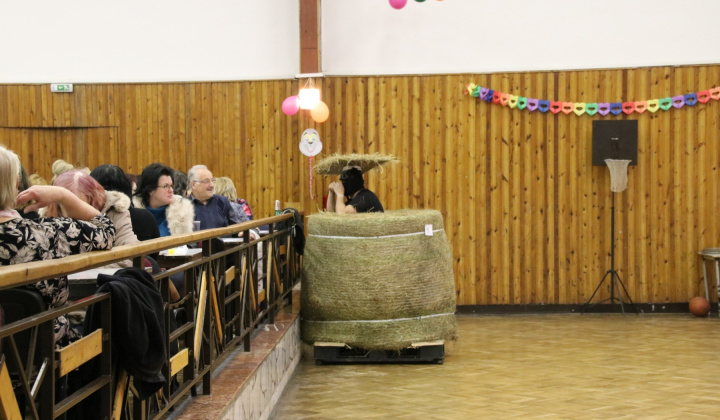 11. fotografia fotogalérie Maškarný ples