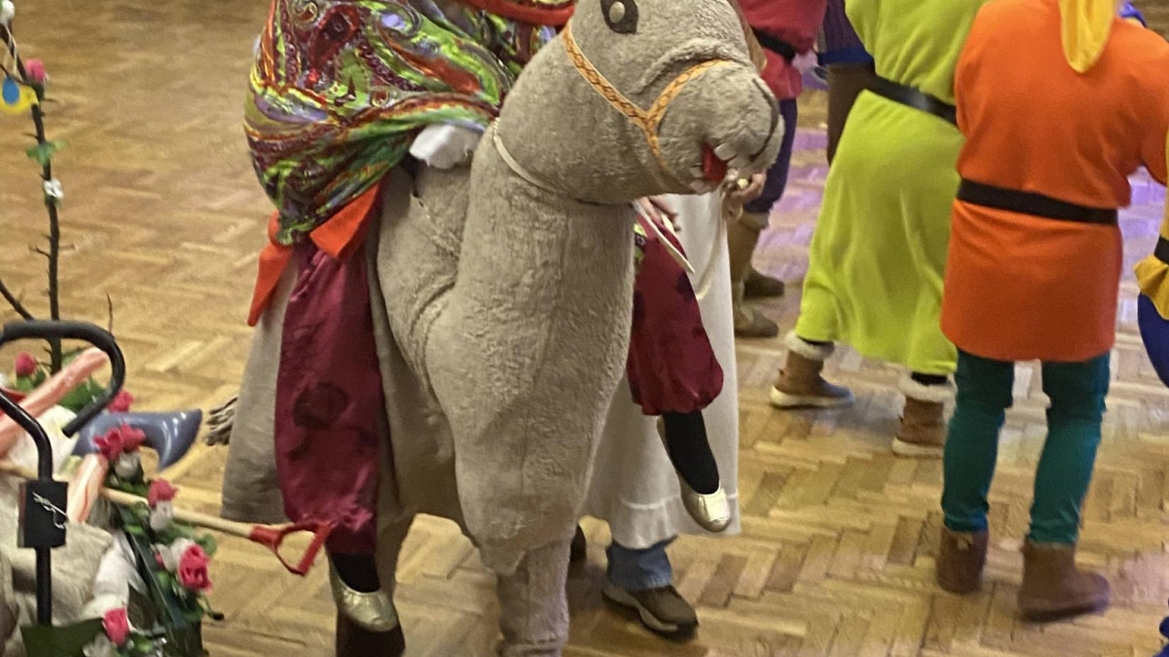 Fotografia fotogalérie Maškarný ples 2026