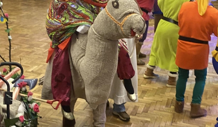 1. fotografia fotogalérie Maškarný ples 2026