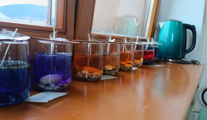 3. fotografia fotogalérie Zážitkový seminár Mama a dcéra